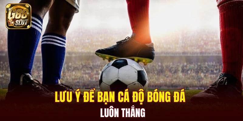 Tài Xỉu Bịp - Cập Nhật Về Cách Nhận Biết Chính Xác 2025 7 Lưu ý để bạn cá độ bóng đá luôn thắng
