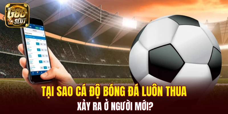 Tài Xỉu Bịp - Cập Nhật Về Cách Nhận Biết Chính Xác 2025 5 Tại sao cá độ bóng đá luôn thua xảy ra ở người mới?
