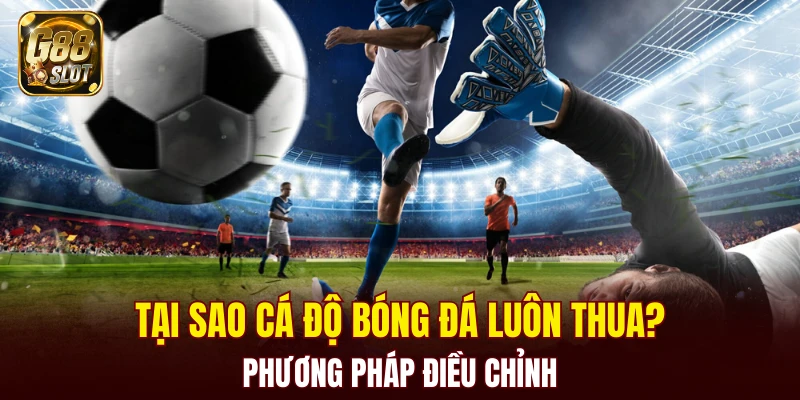 tại sao cá độ bóng đá luôn thua
