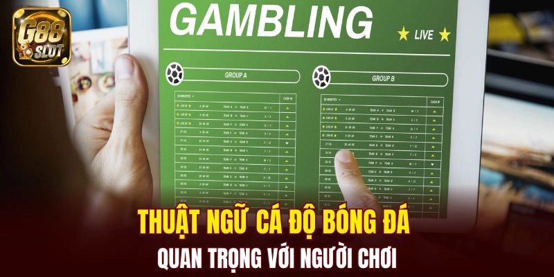 Tài Xỉu Bịp - Cập Nhật Về Cách Nhận Biết Chính Xác 2025 5 Thuật ngữ cá độ bóng đá quan trọng với người chơi