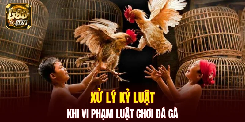 Tài Xỉu Bịp - Cập Nhật Về Cách Nhận Biết Chính Xác 2025 7 Xử lý kỷ luật khi vi phạm luật chơi đá gà
